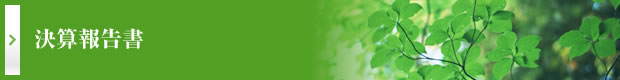決算報告書